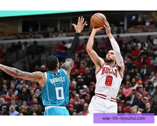 围绕公牛队是哪个城市展开的球队起源与芝加哥文化解读全景分析一